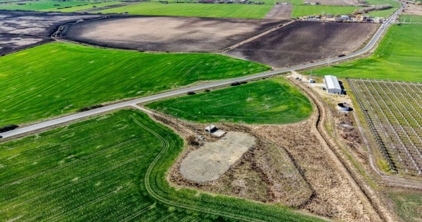 ???? Oportunitate Investiție! Teren Intravilan zona serv...