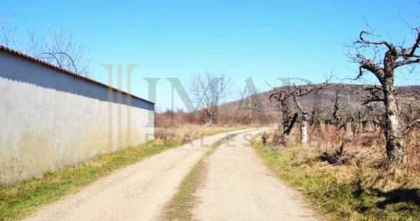 Via Solarino, 3 km de oras! Teren Intravilan 1000 mp in Vif