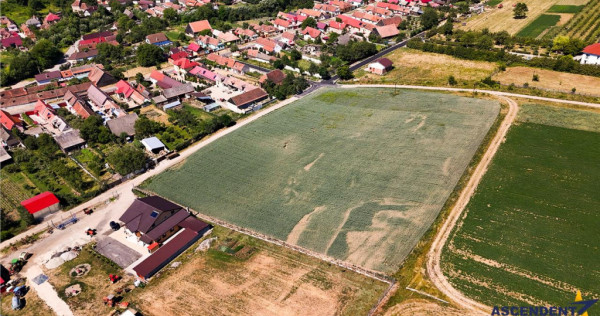 FILM! 1.100 mp teren intravlan in Maierus, Brasov