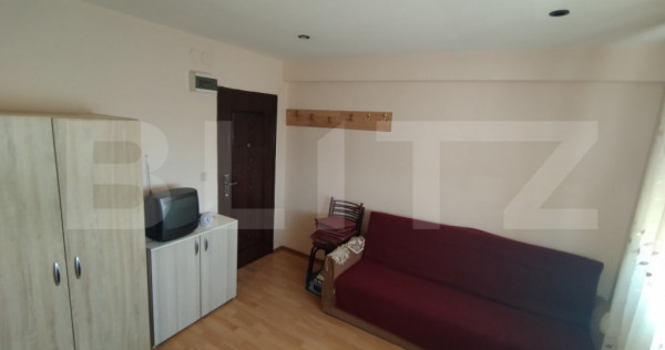 Garsonieră 16 mp, Calea Severinului, &icirc;n spatele Brico Depo