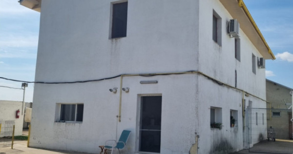 AFACERE LA CHEIE FERMA DE PORCI