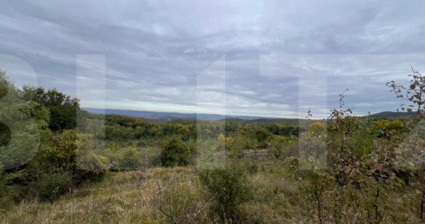 Teren de vanzare Salicea