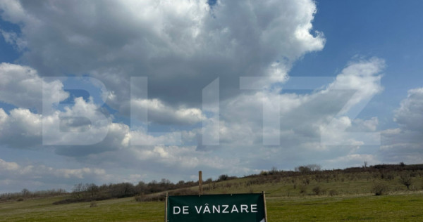 Teren extravilan Cartier Vadeni