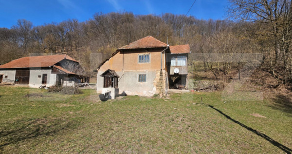 Casă cu teren generos 6.820 mp, l&acirc;ngă pădure și r&acirc;u ??