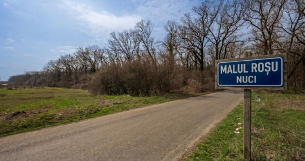 ULTRACENTRAL &ndash; ROSETTI, GARSONIERA 37 MP TOTAl, RENOVAT!