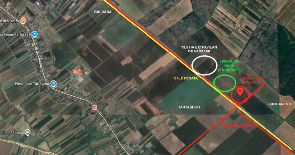 Teren intravilan arabil | Tartasesti | Baldana | Db 6,6 ha