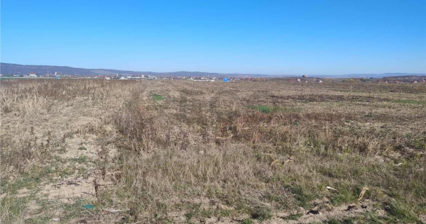 RECO Teren extravilan, centura Cheriu