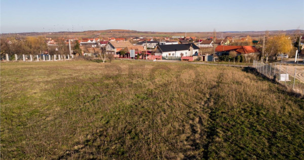 RECO Teren intravilan in Biharia