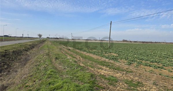 RECO Teren in Nojorid