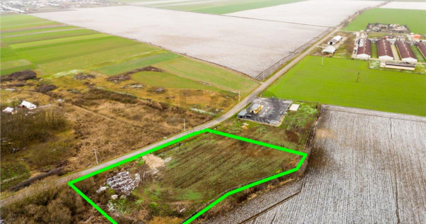 RECO . Teren extravilan 5000mp , 110ml front .