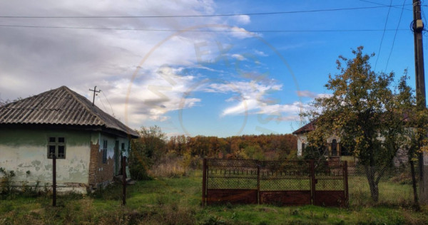 Teren Mosaia 6975 mp intravilan