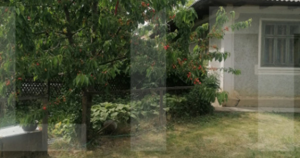 Casă bătr&acirc;nească de v&acirc;nzare &ndash; Brăești, județul Bot