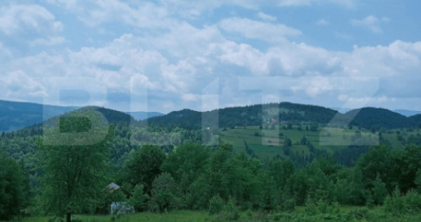 Teren intravilan de v&acirc;nzare, 12000mp, Tr&acirc;ncești, Scăriș