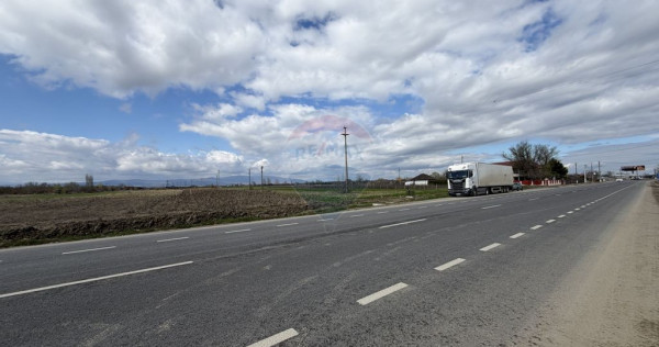 Teren 9,431mp Bizighesti / DJ 205E