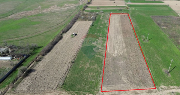 Teren 9,431mp Bizighesti / DJ 205E