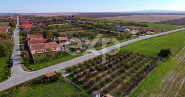 Teren cu livadă de v&acirc;nzare &ndash; S&acirc;rbova, poziție excelent