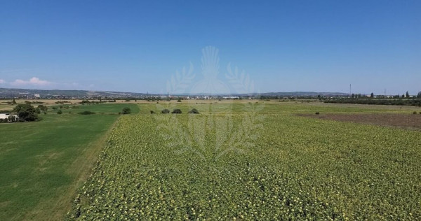 TEREN INTRAVILAN\\ZONA SPITALUL JUDETEAN PLOIESTI
