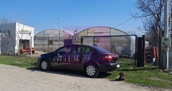 IALOMITA - SE VINDE TEREN 3100 MP - SAT ROSIORI