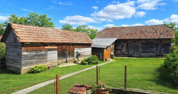 Tur 3D!4.300 mp teren, pomicultura casa traditionala, anexe