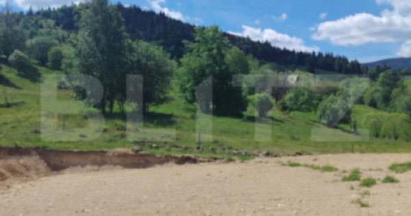 Teren 1000 mp, zona Rogojel, poalele Vlădesei, Panorama mon
