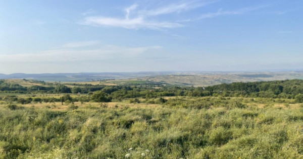 Teren 1000 mp, zona Rogojel