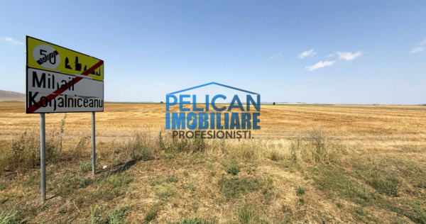 Teren intravilan M. Kogalniceanu, 1000MP, la drumul national