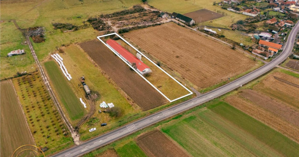 FILM! Ferma de iepuri,Malnas,Covasna: domeniu:industrial com