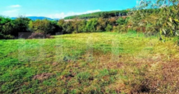 Teren INTRAVILAN cu posibilitate de parcelare ZONA DEOSEBIT?