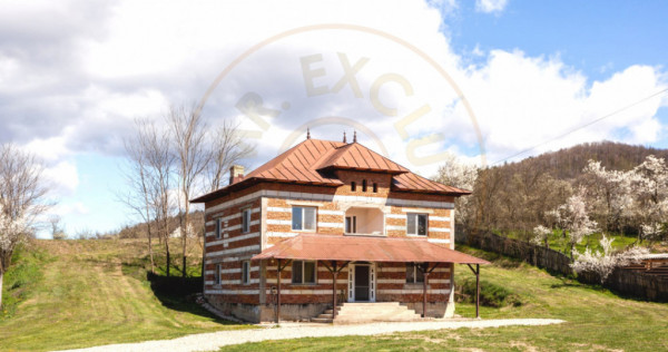 Casă P+1 langa padure cu teren 4.752 mp Cosesti Arges