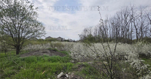 TEREN INTRAVILAN la 20 minute de Bucuresti