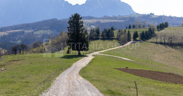 Teren intravilan &icirc;n Poiana Mărului, 3.791 mp cu priveli...