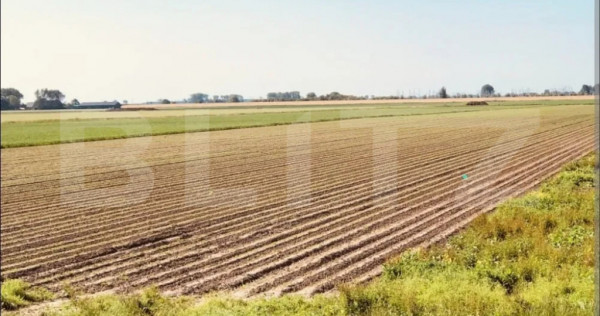 Teren arabil de vanzare, 30.000 mp - Bethausen