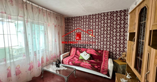 Casa la sol de vanzare - strada Deltei !