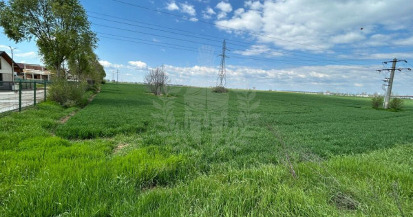 TEREN INTRAVILAN//ZONA CARTIER ROUA PLOIESTI
