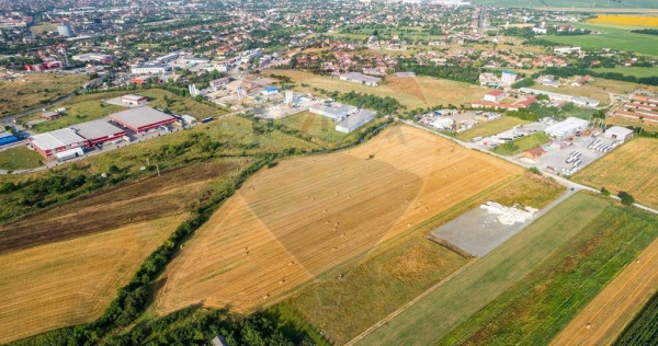 Teren 20.000 mp Arad. Ideal pentru mica industrie, servic...