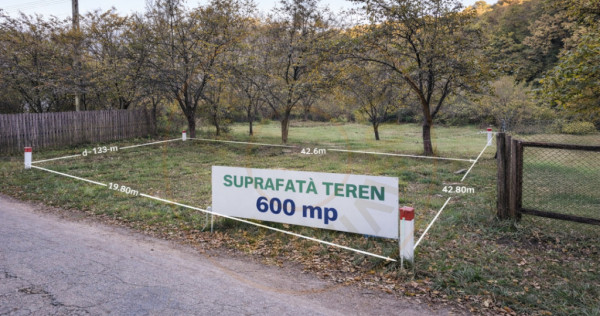 Teren 600mp intravilan - Balotesti