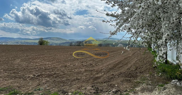 De vanzare doua loturi de teren in Fantanele-Bacau