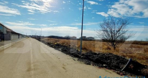 Teren intravilan mare, 44.000 mp, investitii, Mehala-Centura