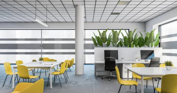 Spatii birouri, 170 mp, zona Complex Studentesc