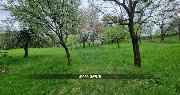 Teren in Baia Sprie de vanzare | Strada Closca