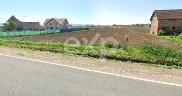 Teren intravilan 4514 mp de v&acirc;nzare, Luizi Călugara