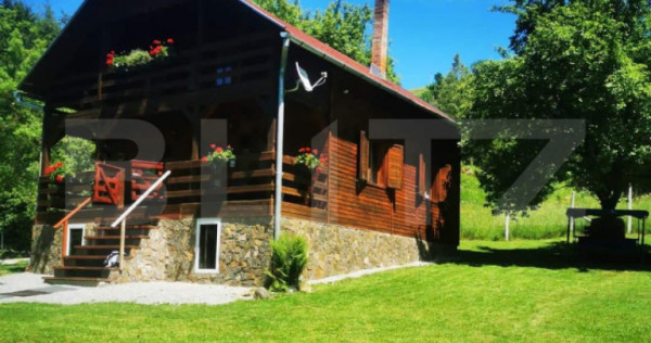 Casa de vacanta cu 4 camere,3300 mp teren,Rimet
