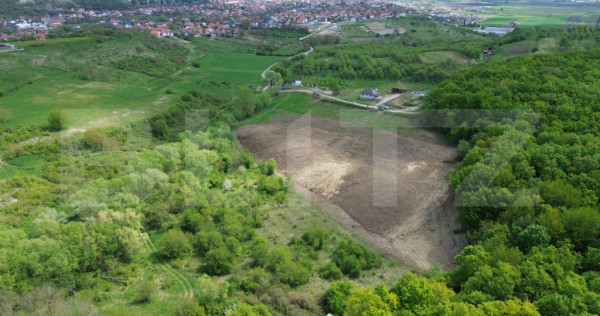 Teren 15.100 mp la baza pădurii &ndash; ideal parcelare | 14 lo