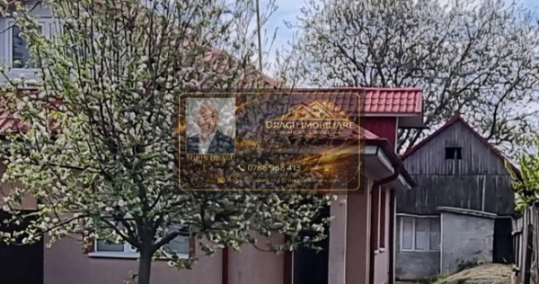 Casa Paunesti/Viisoara/Vrancea/Teren 969 mp