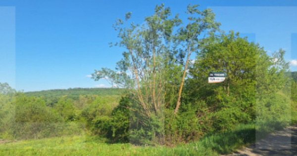 Teren de v&acirc;nzare 1.600 mp cu deschidere la lac &ndash; zona Lac