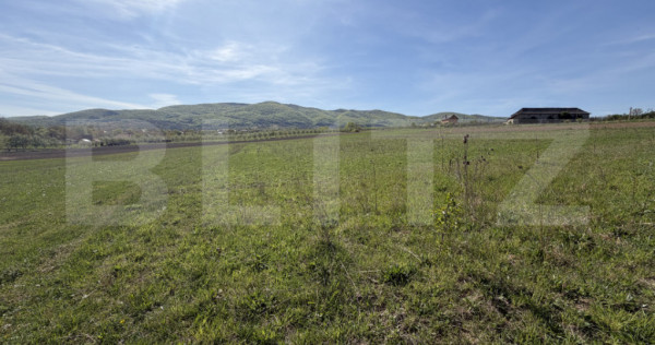 Teren extravilan &icirc;n suprafață de 5300 mp - Livada