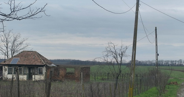 Teren Frumușani - direct proprietar 10000mp.