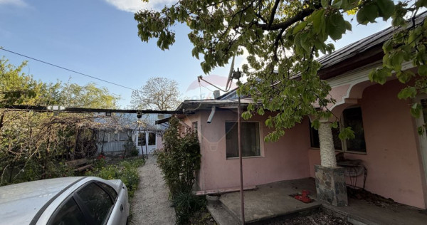 Casă cu teren Tifesti / Sarbi