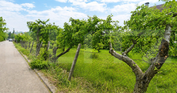 Teren intravilan 600 mp - Calea Moldovei| Ideal pentru const
