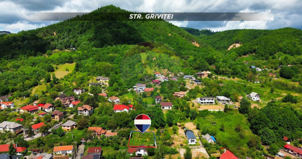 TEREN CU PRIVELISTE DEOSEBITA SPRE ORAS STRADA GRIVITEI d...